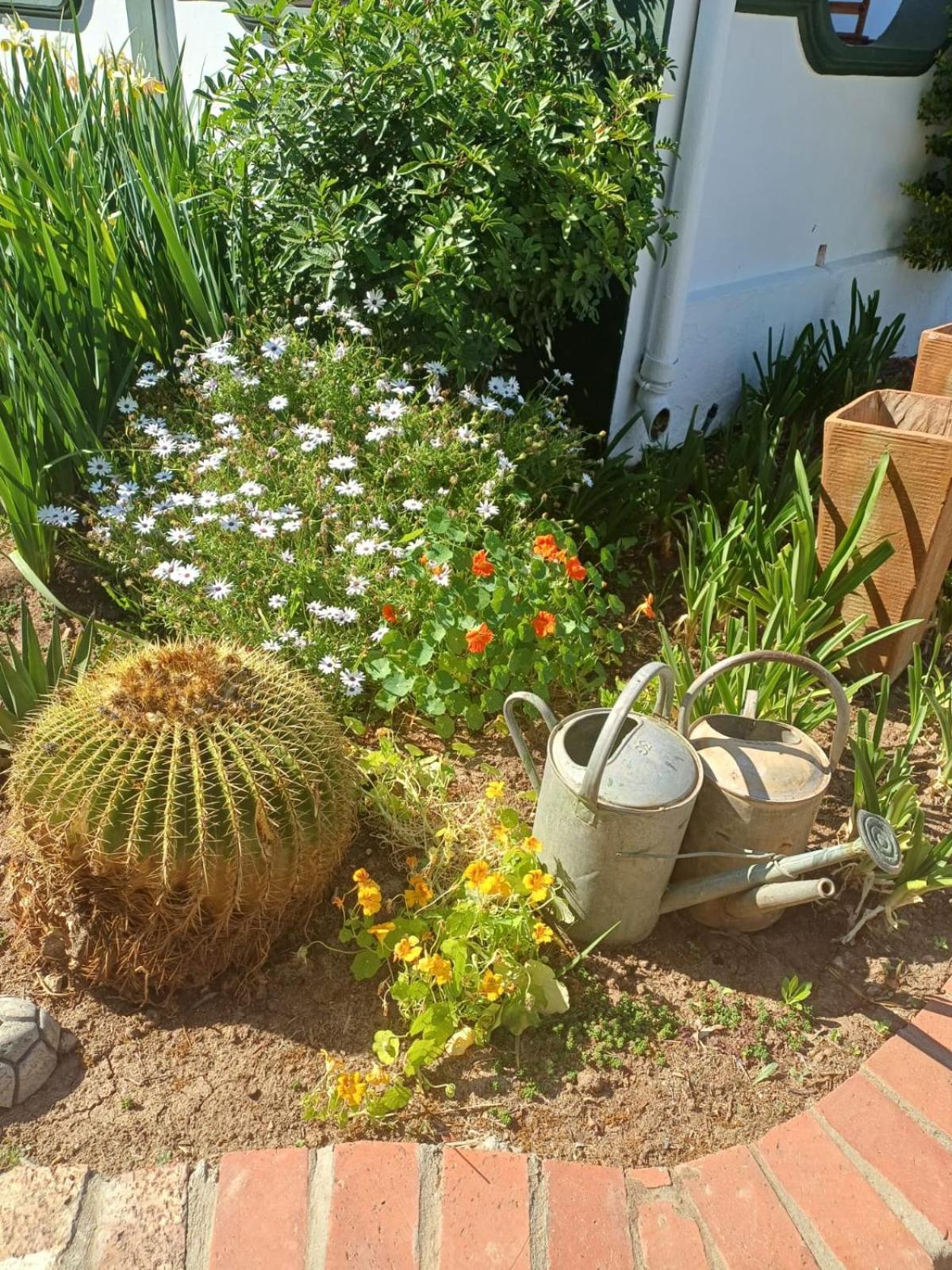 De Oude Yotclub Bed & Breakfast Oudtshoorn Bagian luar foto